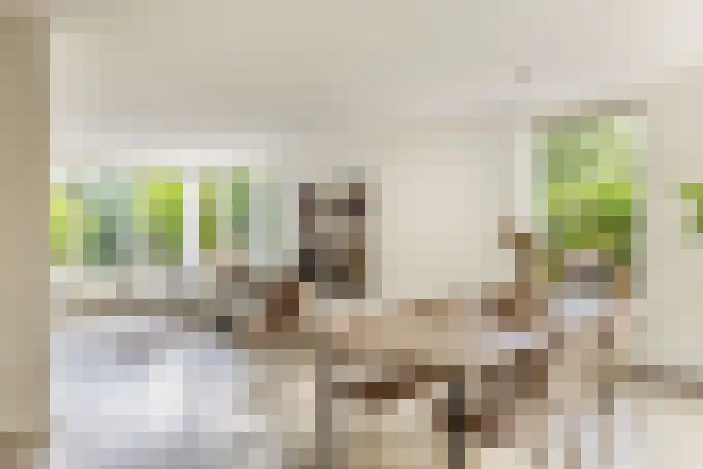 Boterzwin 1131 Julianadorp thumbnail 7