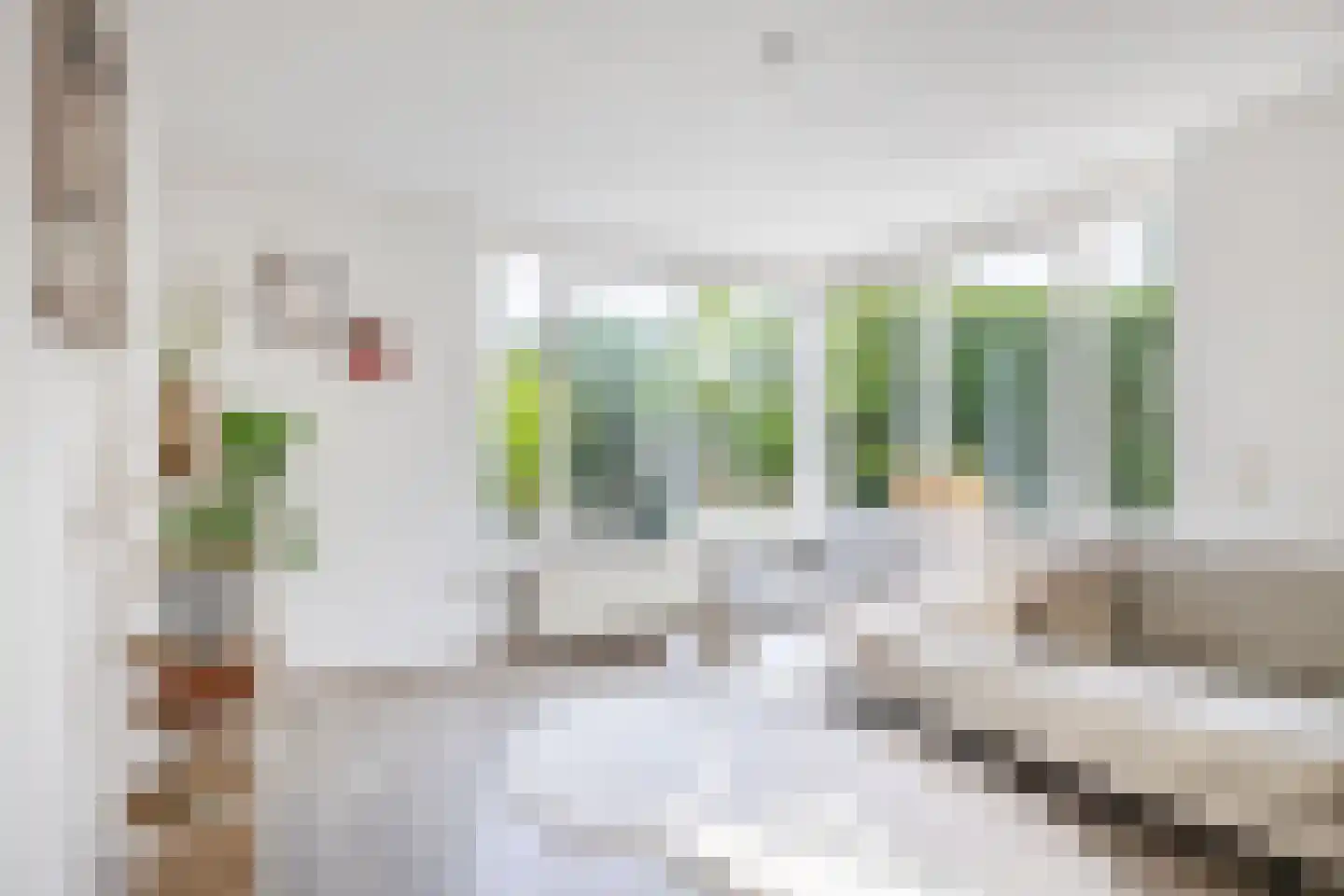 Boterzwin 1131 Julianadorp thumbnail 8