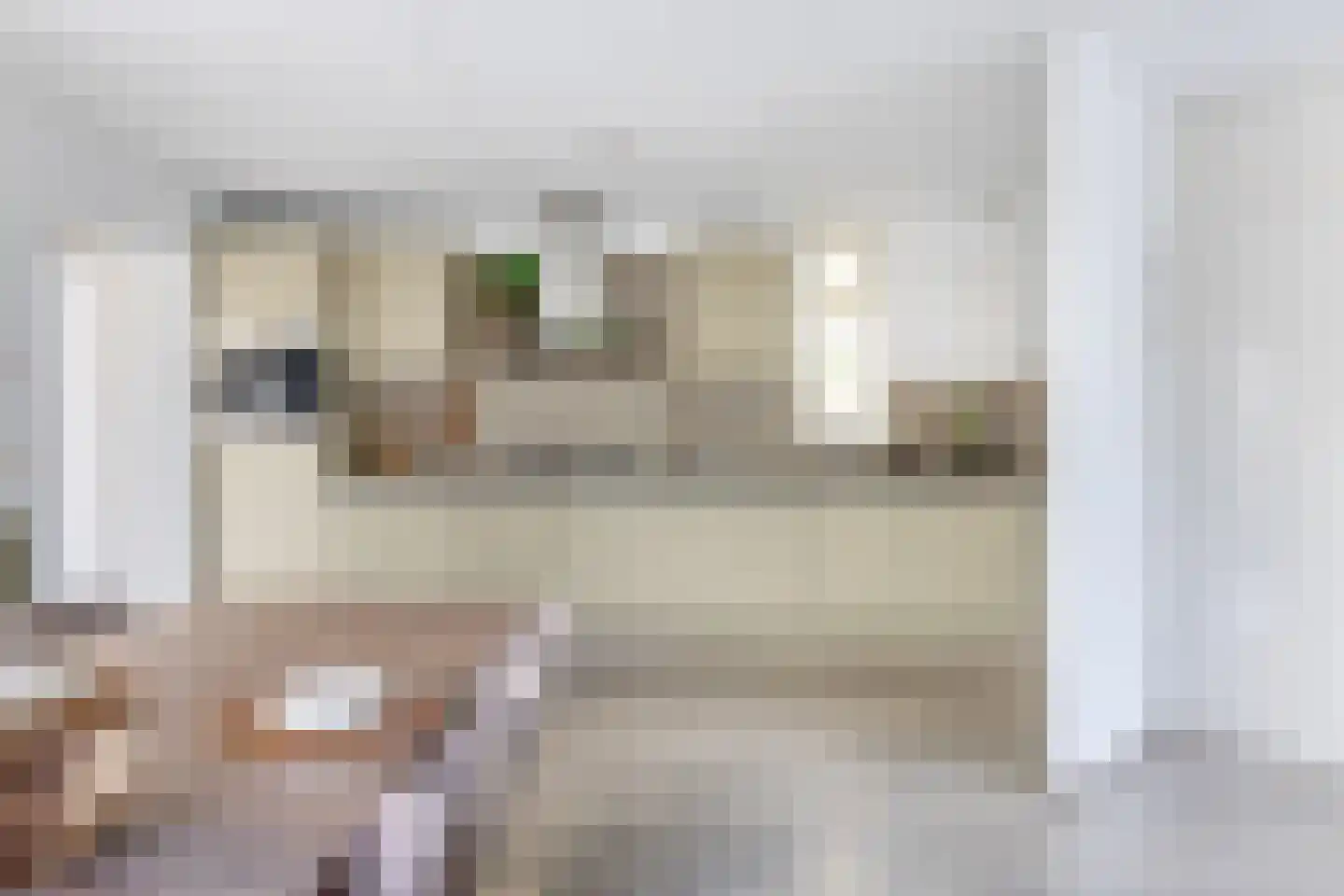Boterzwin 1131 Julianadorp thumbnail 9