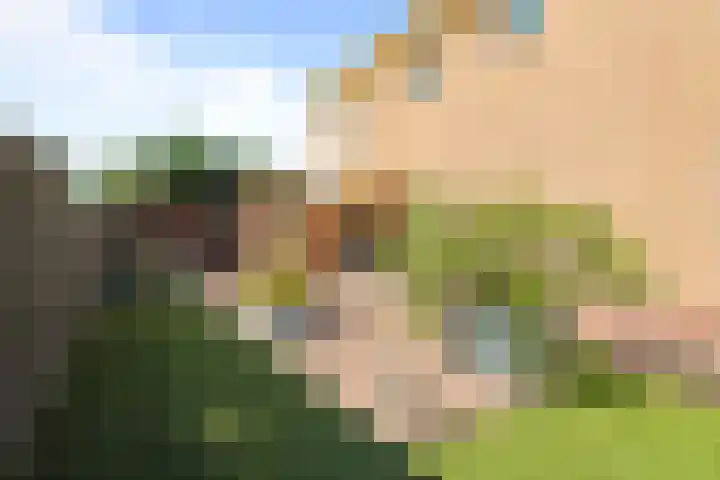 Boterzwin 1207 Julianadorp thumbnail 13