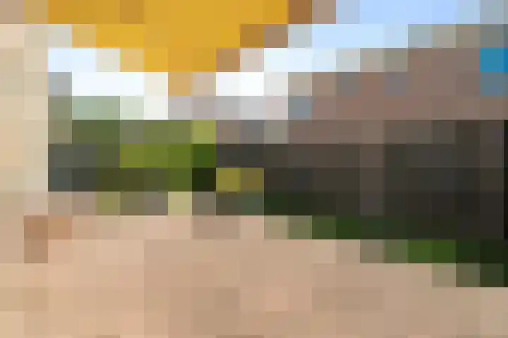 Boterzwin 1207 Julianadorp thumbnail 14