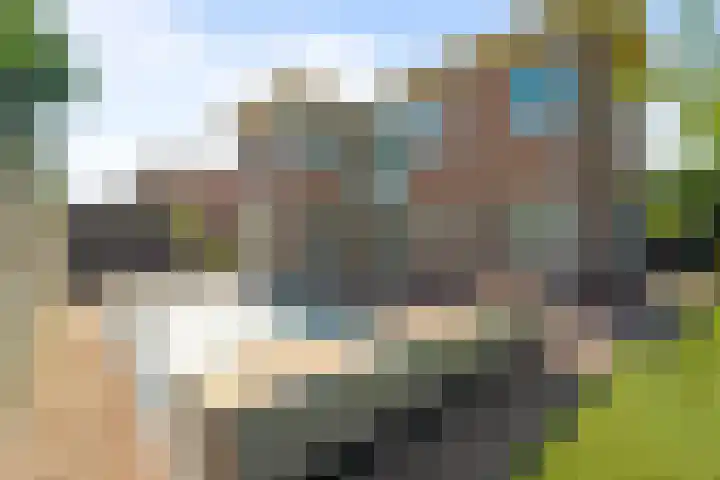 Boterzwin 1207 Julianadorp thumbnail 16