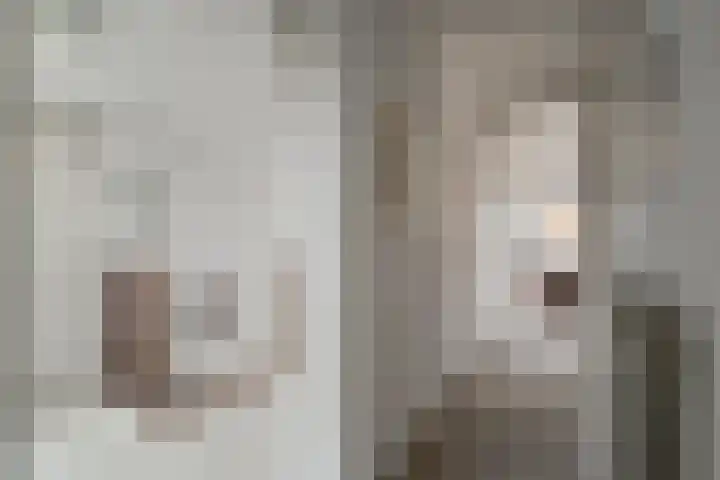 Boterzwin 1207 Julianadorp thumbnail 17