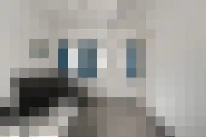 Boterzwin 1207 Julianadorp thumbnail 23