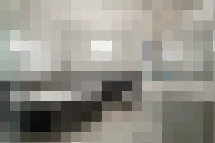 Boterzwin 1207 Julianadorp thumbnail 24