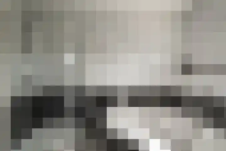 Boterzwin 1207 Julianadorp thumbnail 25