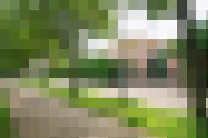Boterzwin 1207 Julianadorp thumbnail 26