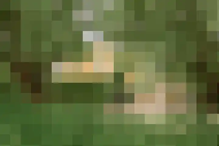 Boterzwin 1207 Julianadorp thumbnail 27