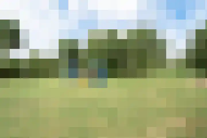 Boterzwin 1207 Julianadorp thumbnail 28