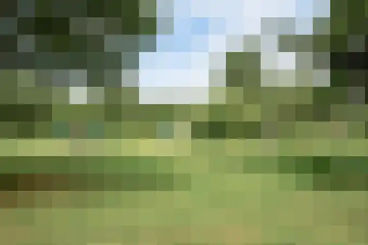 Boterzwin 1207 Julianadorp thumbnail 29