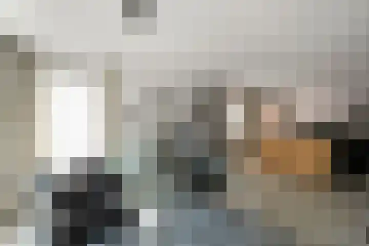 Boterzwin 1207 Julianadorp thumbnail 4