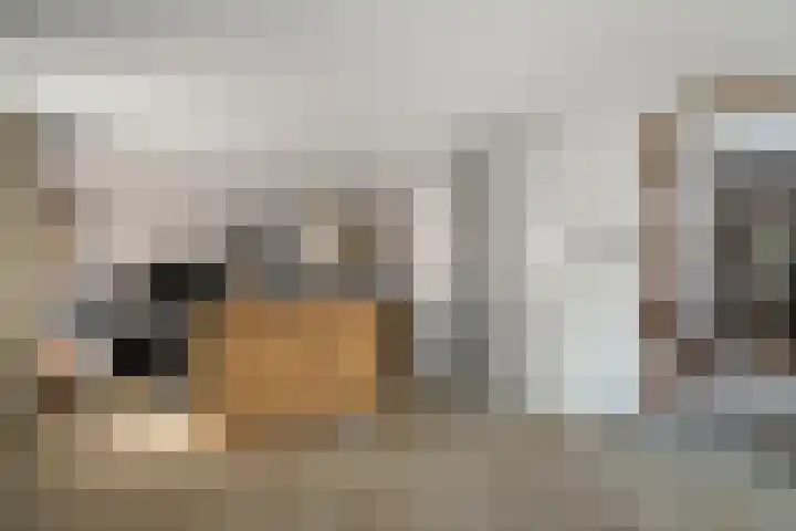 Boterzwin 1207 Julianadorp thumbnail 6