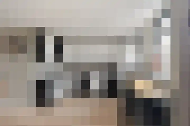 Boterzwin 1306 Julianadorp thumbnail 10