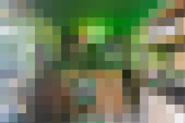 Boterzwin 1306 Julianadorp thumbnail 13