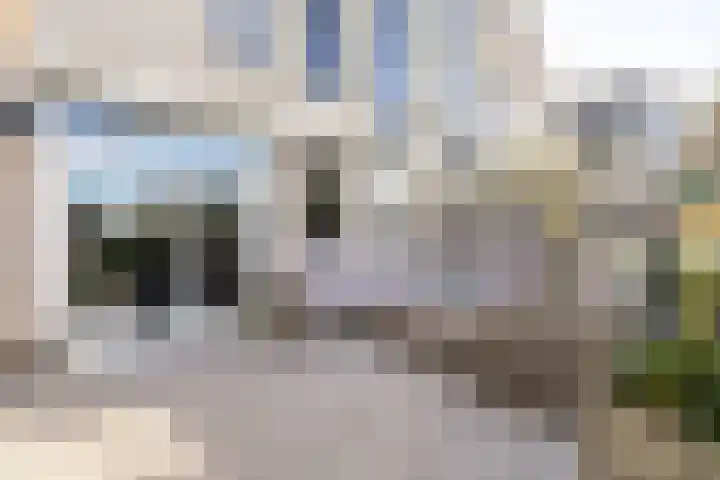 Boterzwin 1306 Julianadorp thumbnail 16