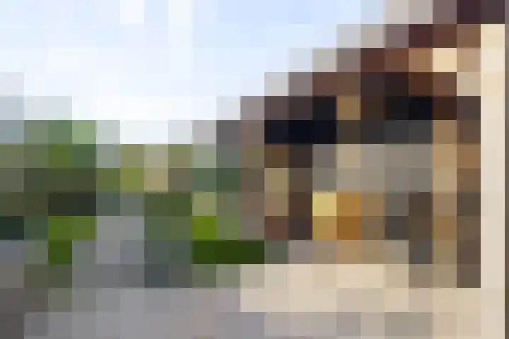 Boterzwin 1306 Julianadorp thumbnail 17