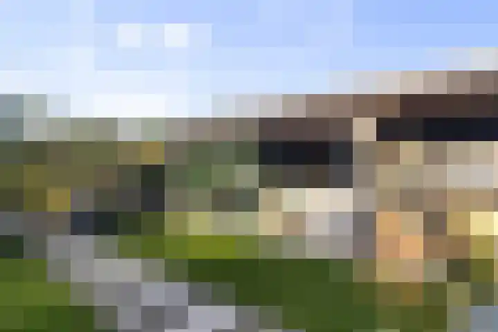 Boterzwin 1306 Julianadorp thumbnail 18