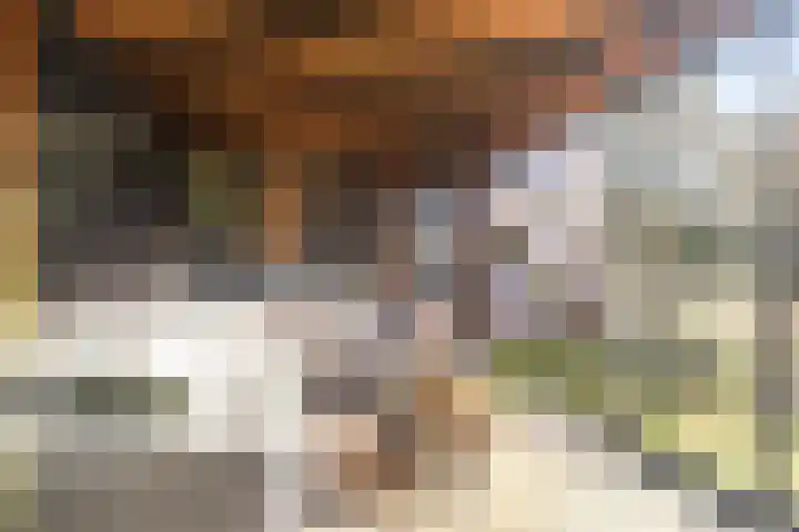Boterzwin 1306 Julianadorp thumbnail 19