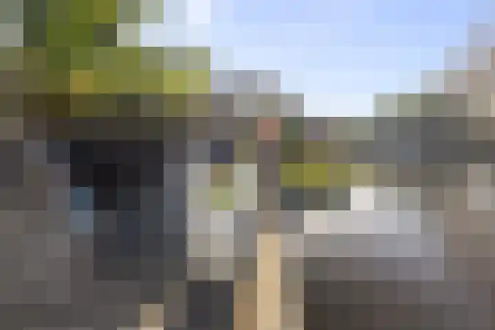 Boterzwin 1306 Julianadorp thumbnail 20