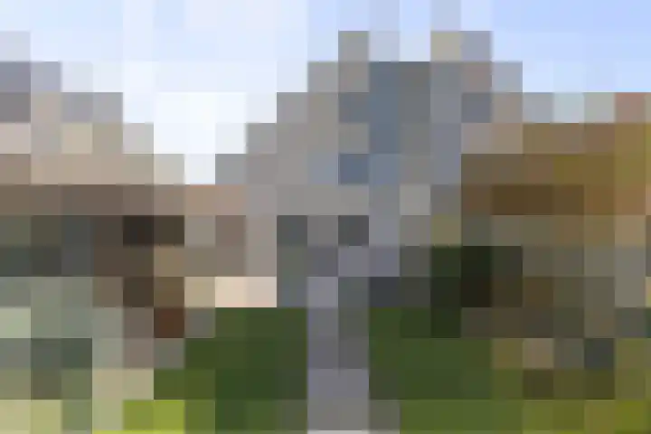 Boterzwin 1306 Julianadorp thumbnail 21