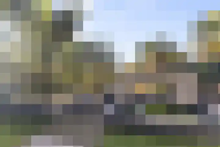 Boterzwin 1306 Julianadorp thumbnail 22