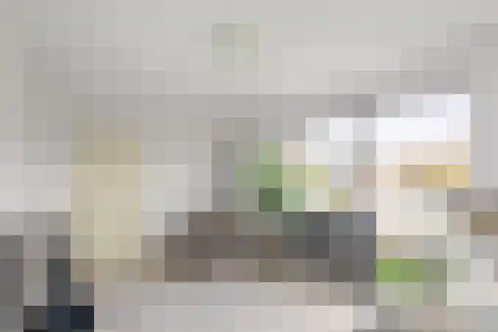 Boterzwin 1306 Julianadorp thumbnail 23