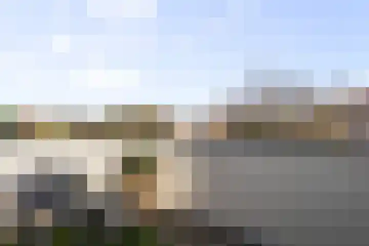 Boterzwin 1306 Julianadorp thumbnail 25