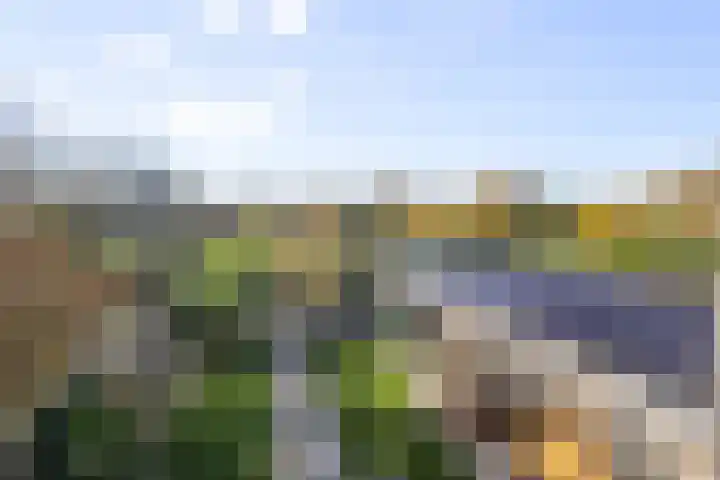 Boterzwin 1306 Julianadorp thumbnail 29
