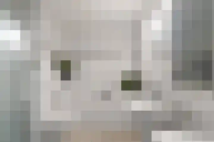 Boterzwin 1306 Julianadorp thumbnail 30
