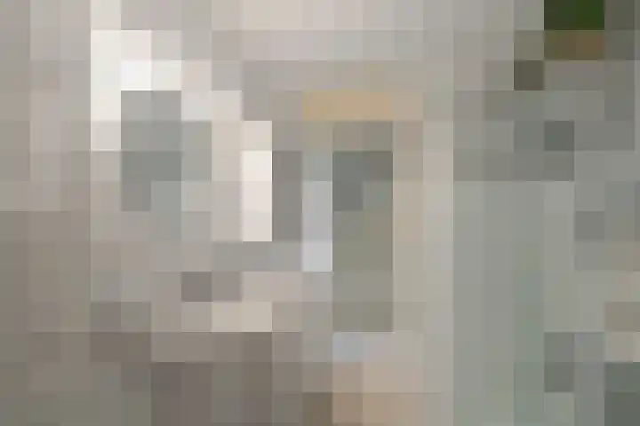 Boterzwin 1306 Julianadorp thumbnail 31