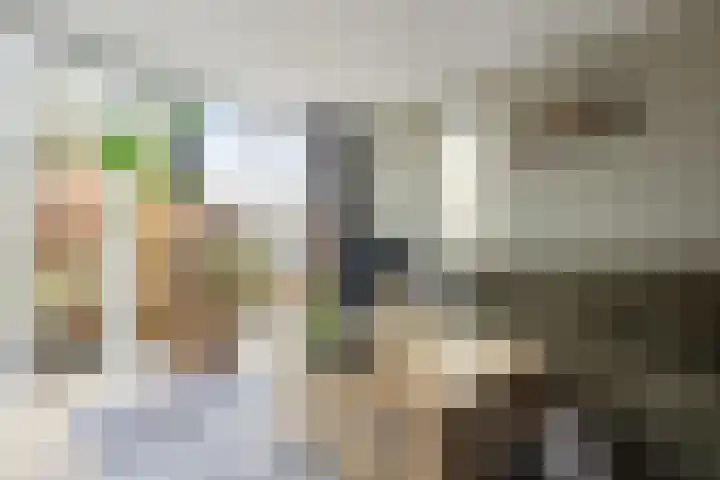 Boterzwin 1306 Julianadorp thumbnail 7