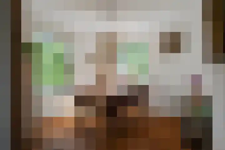 Boterzwin 2208 Julianadorp thumbnail 10