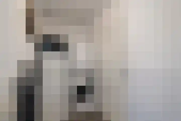 Boterzwin 2208 Julianadorp thumbnail 11