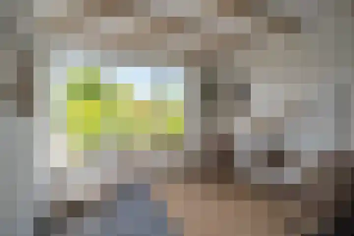 Boterzwin 2208 Julianadorp thumbnail 13