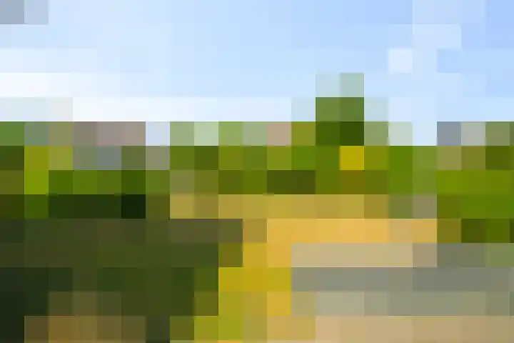 Boterzwin 2208 Julianadorp thumbnail 15