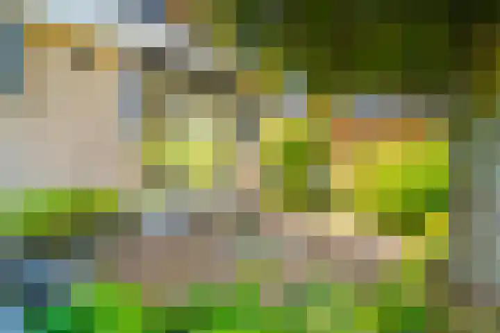 Boterzwin 2208 Julianadorp thumbnail 16