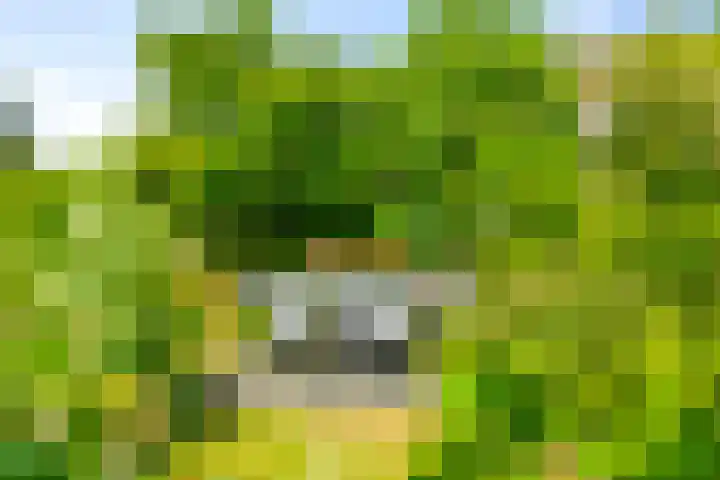 Boterzwin 2208 Julianadorp thumbnail 17