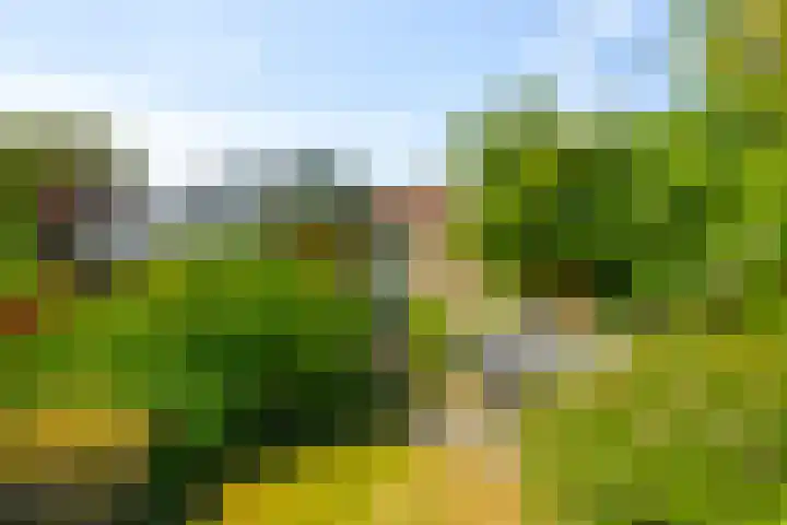 Boterzwin 2208 Julianadorp thumbnail 18