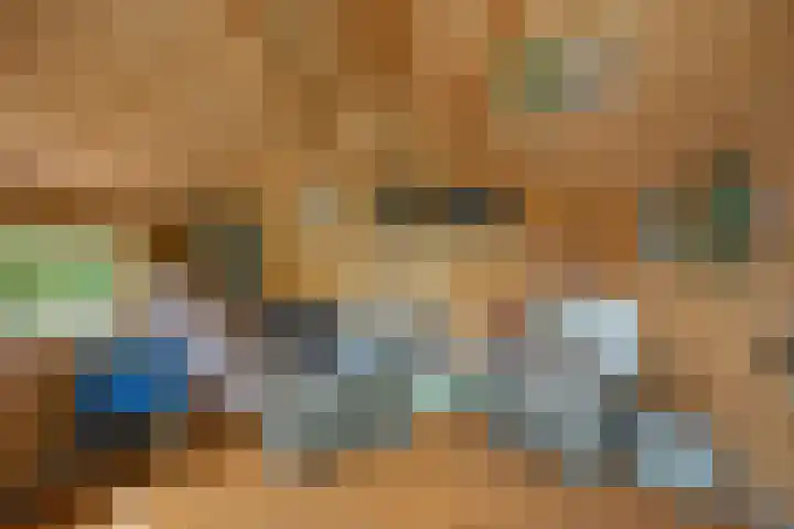 Boterzwin 2208 Julianadorp thumbnail 19
