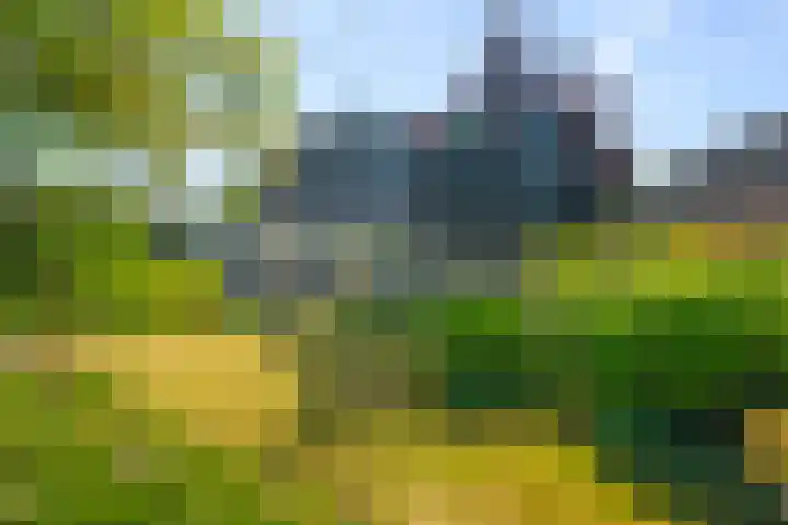 Boterzwin 2208 Julianadorp thumbnail 20
