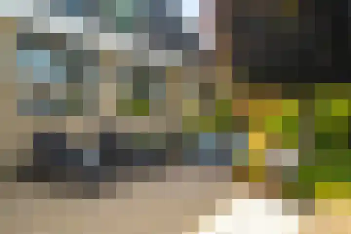 Boterzwin 2208 Julianadorp thumbnail 21