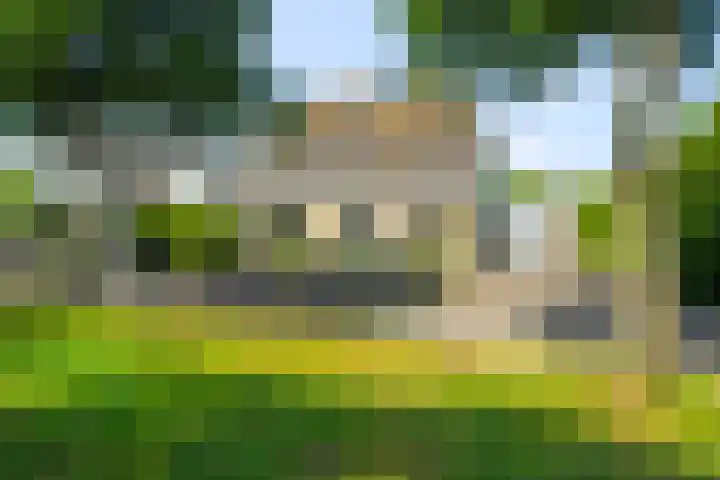 Boterzwin 2208 Julianadorp thumbnail 26