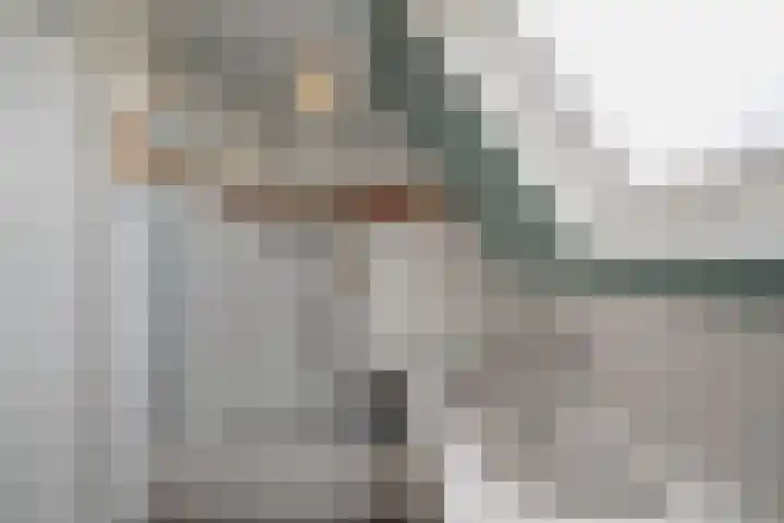 Boterzwin 2208 Julianadorp thumbnail 27