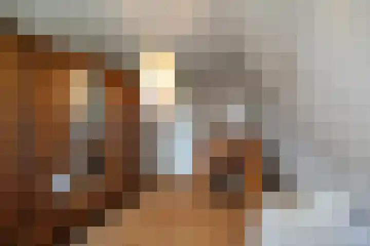 Boterzwin 2208 Julianadorp thumbnail 29