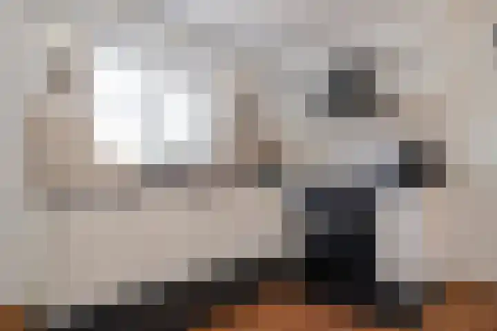Boterzwin 2208 Julianadorp thumbnail 7