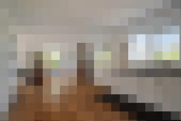 Boterzwin 2208 Julianadorp thumbnail 8