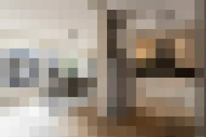 Boterzwin 2322 Julianadorp thumbnail 10