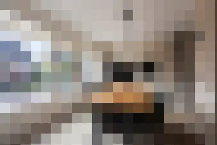 Boterzwin 2322 Julianadorp thumbnail 11