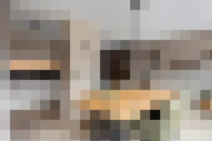 Boterzwin 2322 Julianadorp thumbnail 12