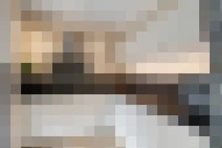 Boterzwin 2322 Julianadorp thumbnail 14